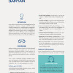 Brochure p. 4